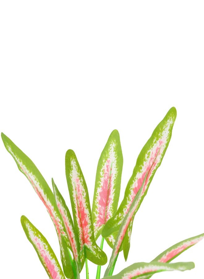 DVHEY Silk Aquarium Plants for Betta Fish Tank, 2 Pcs 8 Inch Small Silk Aquarium Plant Aquatic Water Grass Decoration (Green-Wine, 8 Inch) - Image 4